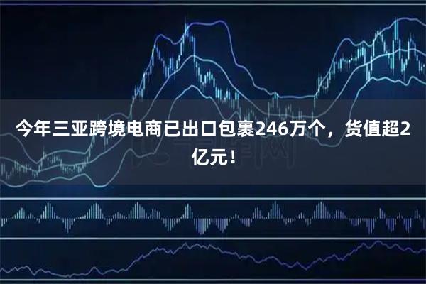 今年三亚跨境电商已出口包裹246万个,货值超2亿元!