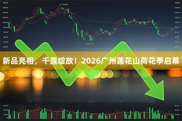 新品亮相，千莲绽放！2026广州莲花山荷花季启幕